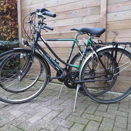 Stylish In With Pool