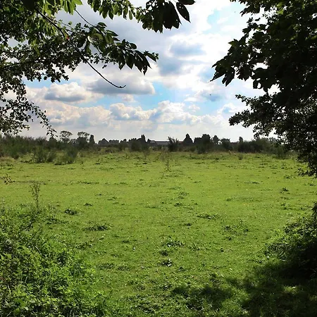 Stylish In With Pool